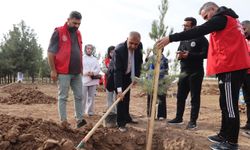 “HERKESİN DİKİLİ AĞACI OLMALI”