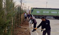 Batman’da Katı Atık Aktarma İstasyonu’nda Peyzaj Düzenlemesi