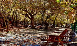 Batman'ın saklı cenneti olan mesire alanı nerede? Nasıl Gidilir?