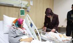 Her yeni doğan bebek ve yeni evli çift adına bir fidan dikilecek