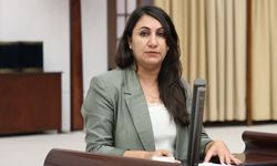 DEM Partili Oduncu: İşçi Sağlığı Ve Güvenliği Tehlikede