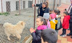 Minik Kalpler Can Dostlarıyla Buluştu