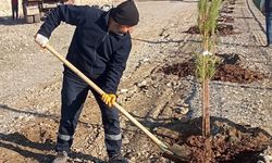 10 KİLOMETRELİK YÜRÜYÜŞ YOLU AĞAÇLANDIRILIYOR