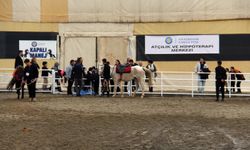 Diyarbakır’a yeni sağlık ve rehabilitasyon merkezi: Hippoterapi birimi açıldı