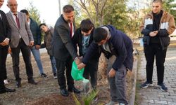 Fidanlar Umut İçin Toprakla Buluştu