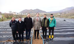 Sason’da Çileği Üretim Alanları Her Yıl Genişliyor