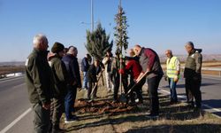 Yeşil Kuşak Projesine Üst Düzey İnceleme