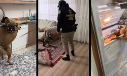 Uyuşturucu satıcılarına şafak operasyonu: 20 gözaltı