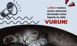 Kontağı Çevirmeden Kaputa Vurun