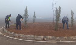 Sürücü Akademisi Yeşile Bürünüyor