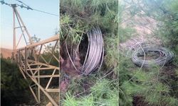 Direk hırsızları bölgeyi elektriksiz bıraktı