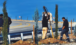 Batman’da 6 Bin 300 Fidan Toprakla Buluştu