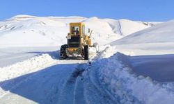 O ilde 102 yerleşim biriminin yolu ulaşıma kapandı