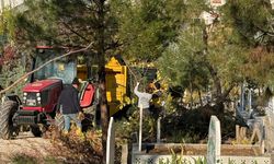 MEZARLIKLARDA PARKE ONARIMI VE AĞAÇ BUDAMA ÇALIŞMALARI BAŞLADI