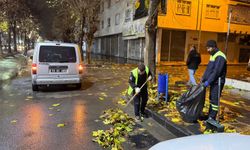 Batman’da 15 Ton Yaprak Toplandı