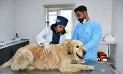 Batman’da Çöp Mamaya Dönüştü