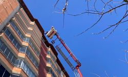 Batman’da Vicdan Isıttan Kurtuluş