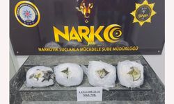 Şırnak’ta 6 kilo 200 gram skunk ele geçirildi