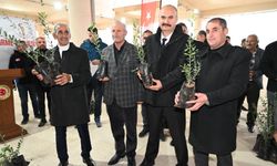 Hasankeyf’te Zeytin Devrimi: 29 Bin 500 Fidan Toprakla Buluştu