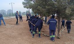 Yaşar Kemal Kent Parkı Yeşeriyor