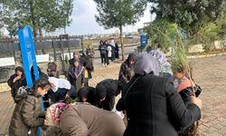 Belediyeden Duygulandıran Hizmet: Her Mezarın Yanına Bir Ağaç