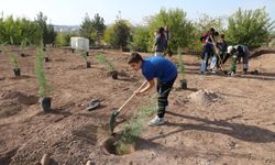 Gabar’da 100 bin fidan hedefiyle yeşil seferberlik başladı