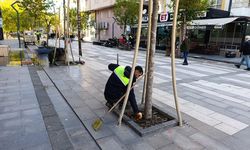 Gap, “Mahallemiz Tertemiz” kampanyası ile Pırıl Pırıl oldu