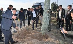 Batman’da 15 Bin Fidan Toprakla Buluşuyor