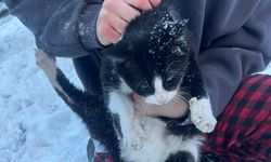 İtfaiye Ekipleri Soğukta Sıkışan Kediyi Hayata Döndürdü