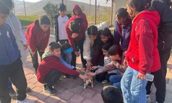 Öğrenciler Hayvan Bakım Merkezinde Empatiyi Öğrendi