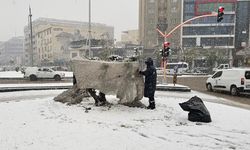 Zeytin Ağaçları Özel Örtüyle Korundu