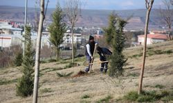 Batman Yeşilleniyor