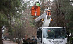 Batman’da Ağaç Budama Çalışmaları Başladı