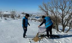 Batman’da Yaban hayvanları için yem, mama ve et bırakıldı