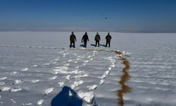 Batman'da Yaban Hayvanlarına Merhamet Eli