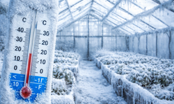 Batman’da Zirai Don uyarısı: Gece Sıcaklıkları -17 Derece