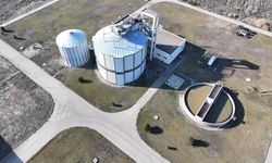 BELEDİYE EKOLOJİK VE EKONOMİK KAZANÇ SAĞLIYOR