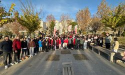 Doğa İçinde Oryantiring Heyecanı