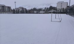 Gercüş Beyaza Büründü