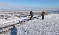 Hayvanlar için Doğaya 2,3 Ton Yem Bırakıldı