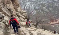 Keçilerini kurtarmak isterken kayalıklarda mahsur kaldı