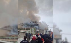 Kereste fabrikasında patlama: 5 yaralı