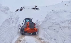 Sason’da Kar Duvarı Aşıldı: 2 Metreyi Geçen Kara Rağmen Yollar Açık