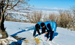 Sokak Hayvanları İçin Seferberlik
