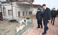 Vali Canalp’ten Kış Talimatı: Tek Bir İhtiyaç Eksik Kalmayacak