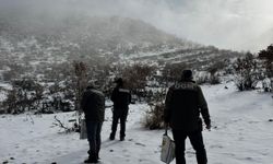 Yaban Hayvanları İçin Yemleme Çalışması Sürüyor