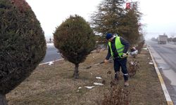 Ağaçlara Bahar Formu