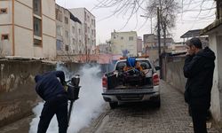 Bahar Öncesi İlaçlama Seferberliği