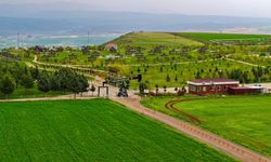 MESİRE ALANI İŞLERİ YAPTIRILACAKTIR