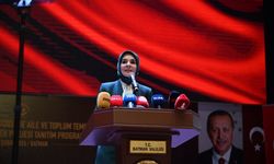 Batman Türkiye’ye Model Oluyor